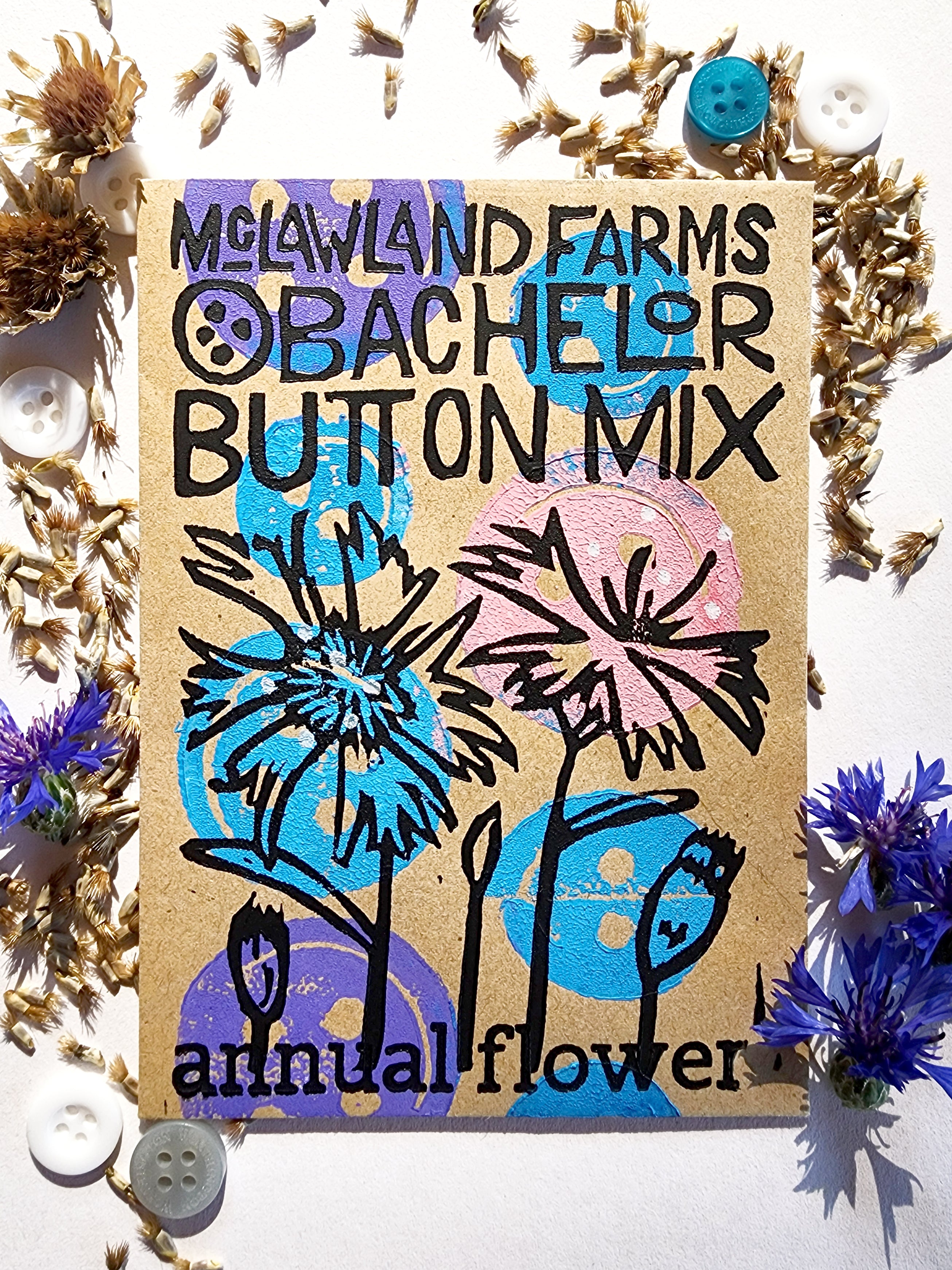 Bachelor Button Mix
